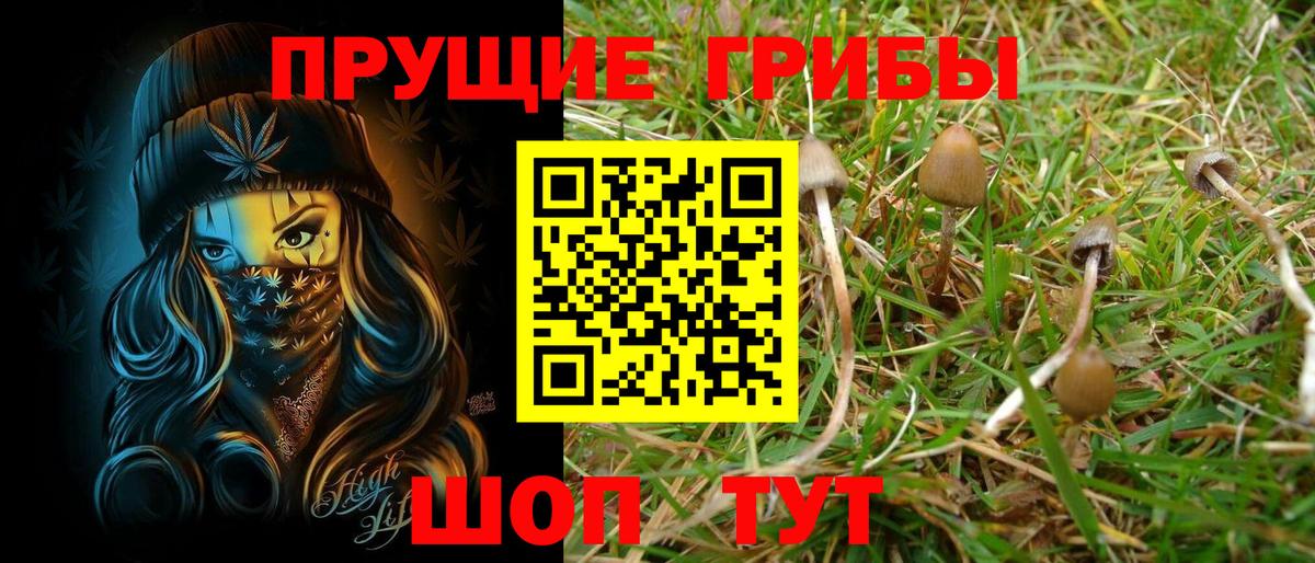 Нефтекамск  Вход с VPN  Меф кристаллы  Гашиш  Конопля  МДМА 