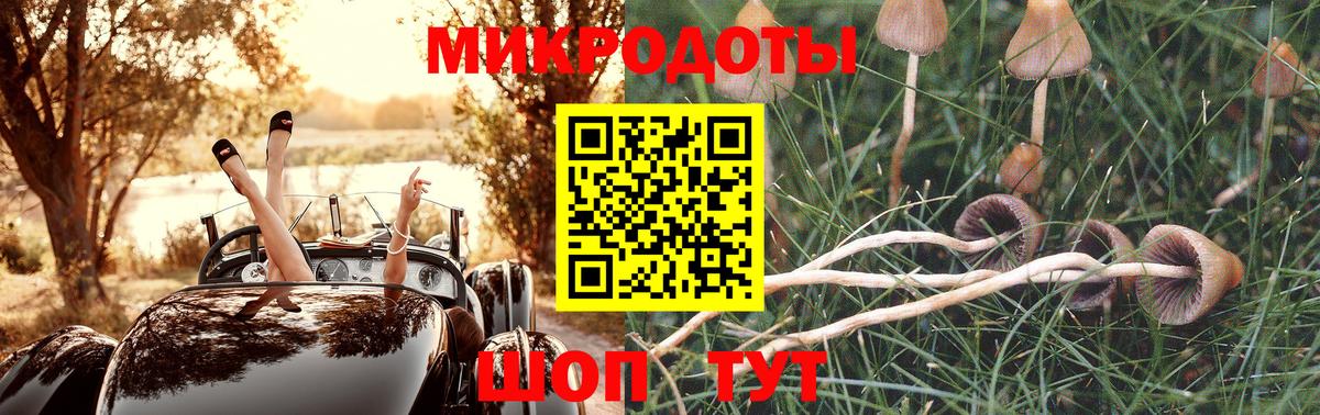Псилоцибиновые грибы GOLDEN TEACHER Нефтекамск