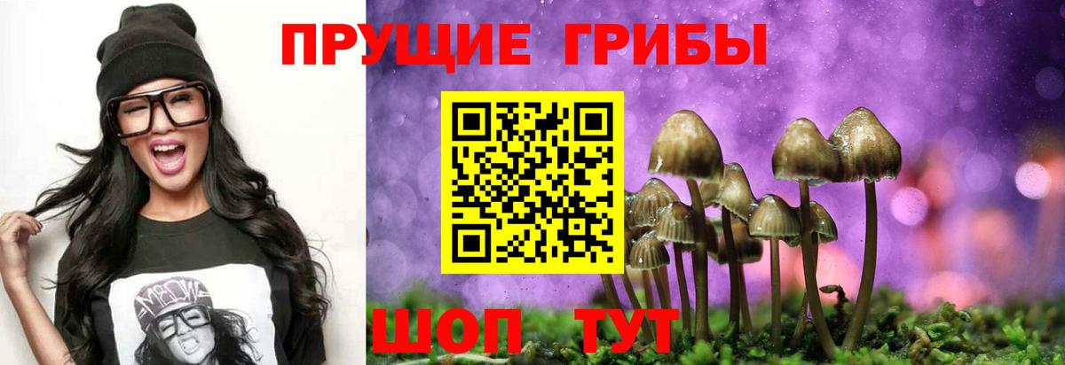 Псилоцибиновые грибы Psilocybe  Вход с VPN  Нефтекамск 